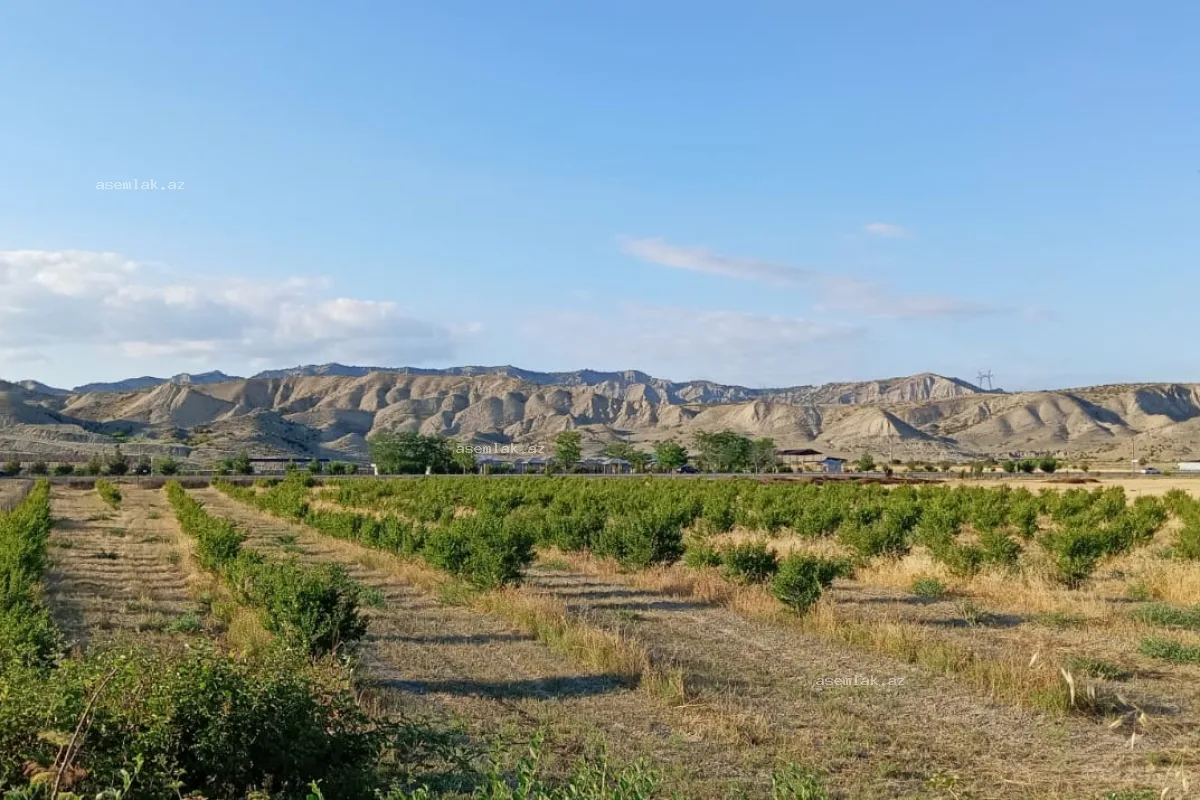 Göyçay rayonu, Göyçay rayonu — 200 sot torpaq satılır - 10
