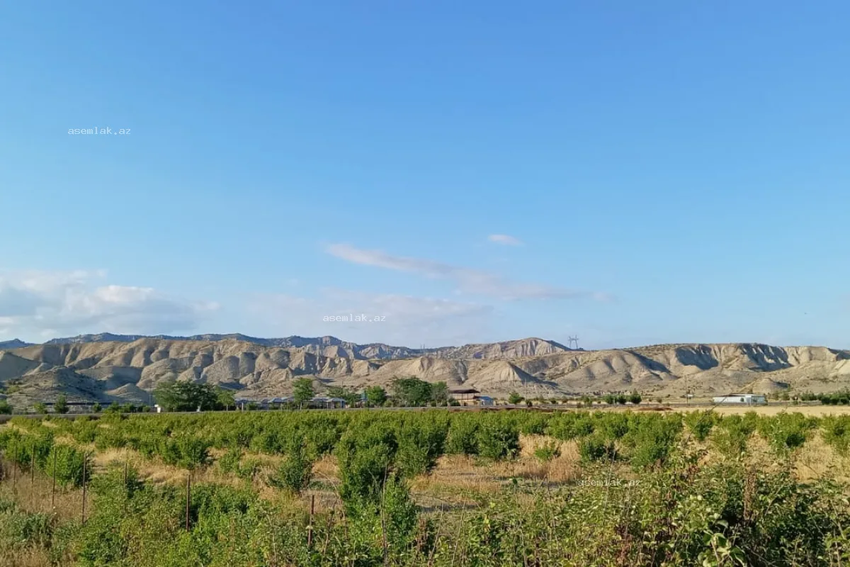 Göyçay rayonu, Göyçay rayonu — 200 sot torpaq satılır - 11