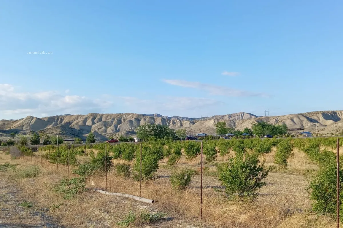 Göyçay rayonu, Göyçay rayonu — 200 sot torpaq satılır - 12