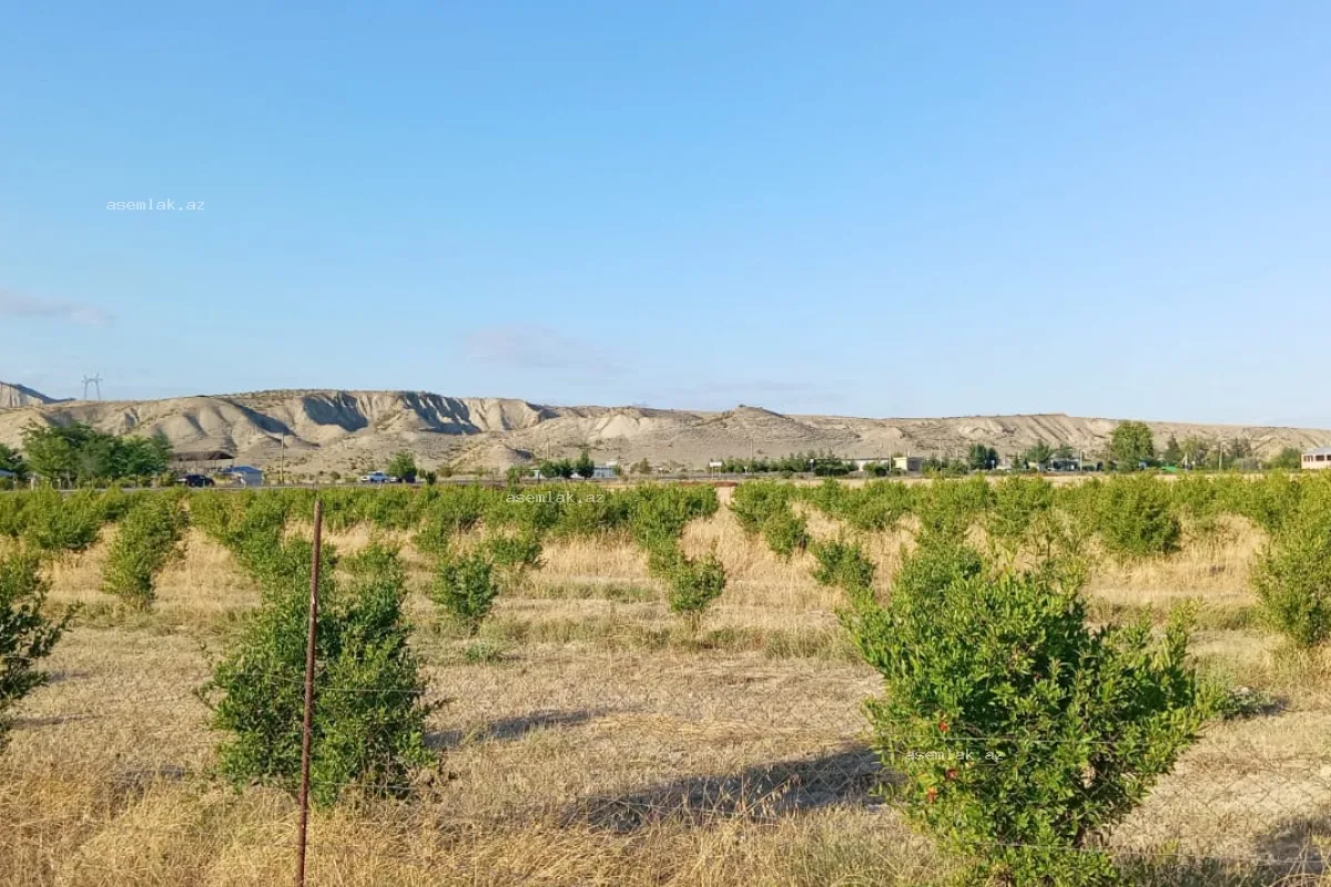 Göyçay rayonu, Göyçay rayonu — 200 sot torpaq satılır - 13