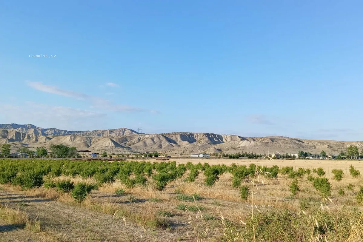 Göyçay rayonu, Göyçay rayonu — 200 sot torpaq satılır - 14