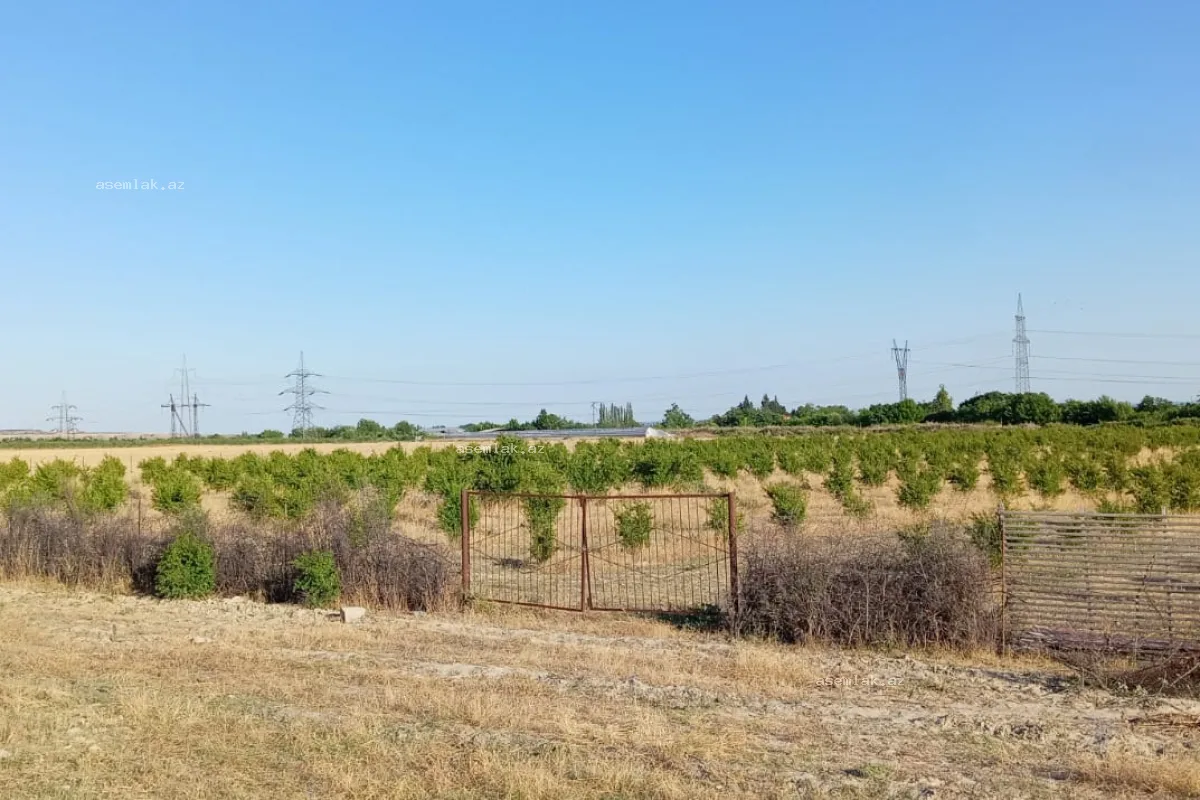 Göyçay rayonu, Göyçay rayonu — 200 sot torpaq satılır - 6