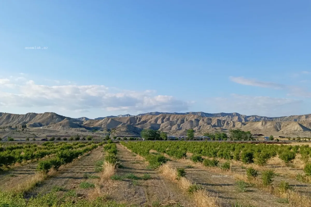 Göyçay rayonu, Göyçay rayonu — 200 sot torpaq satılır - 8