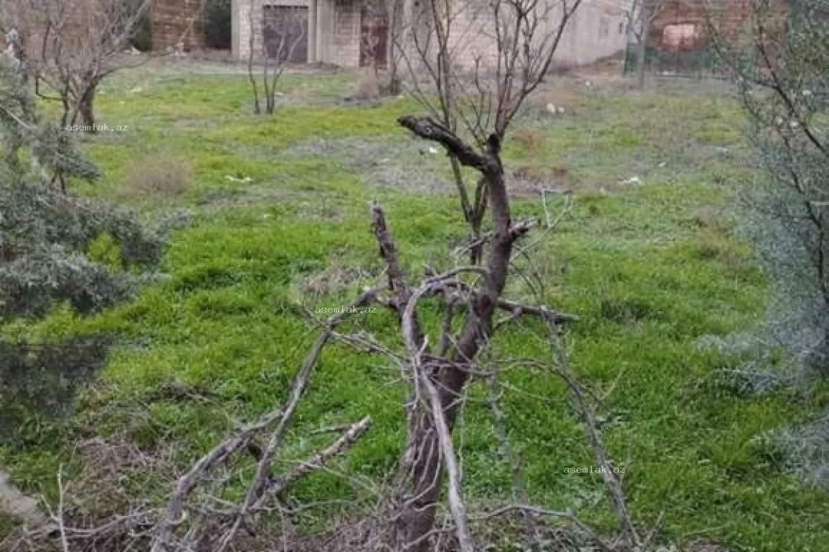 Bakı şəhəri, Badamdar — 14 sot həyət evi satılır - 4