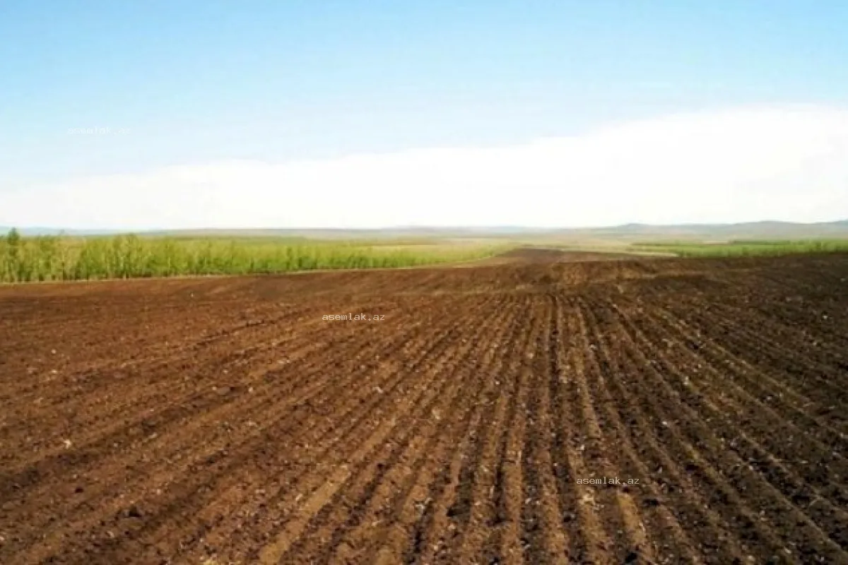 Ağcabədi rayonu, Ağcabədi rayonu — 5 sot torpaq satılır