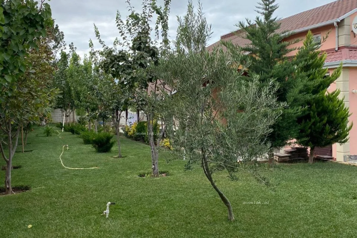 Bakı şəhəri, Fatmayı — 16 sot həyət evi satılır - 19