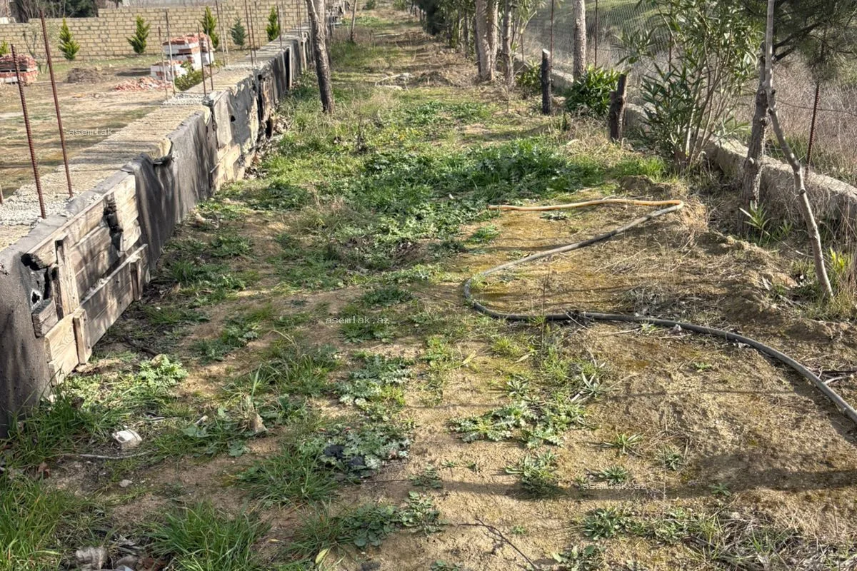 Bakı şəhəri, Fatmayı — 12 sot torpaq satılır - 4