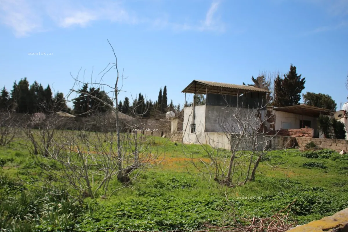 Bakı şəhəri, Buzovna — 33 sot torpaq satılır - 10