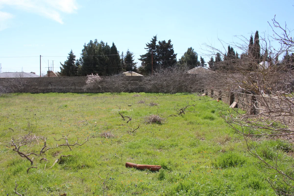 Bakı şəhəri, Buzovna — 33 sot torpaq satılır - 2