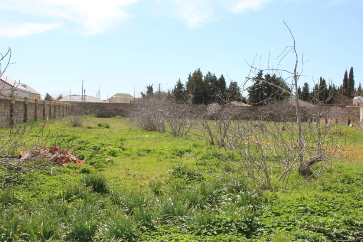 Bakı şəhəri, Buzovna — 33 sot torpaq satılır - 6