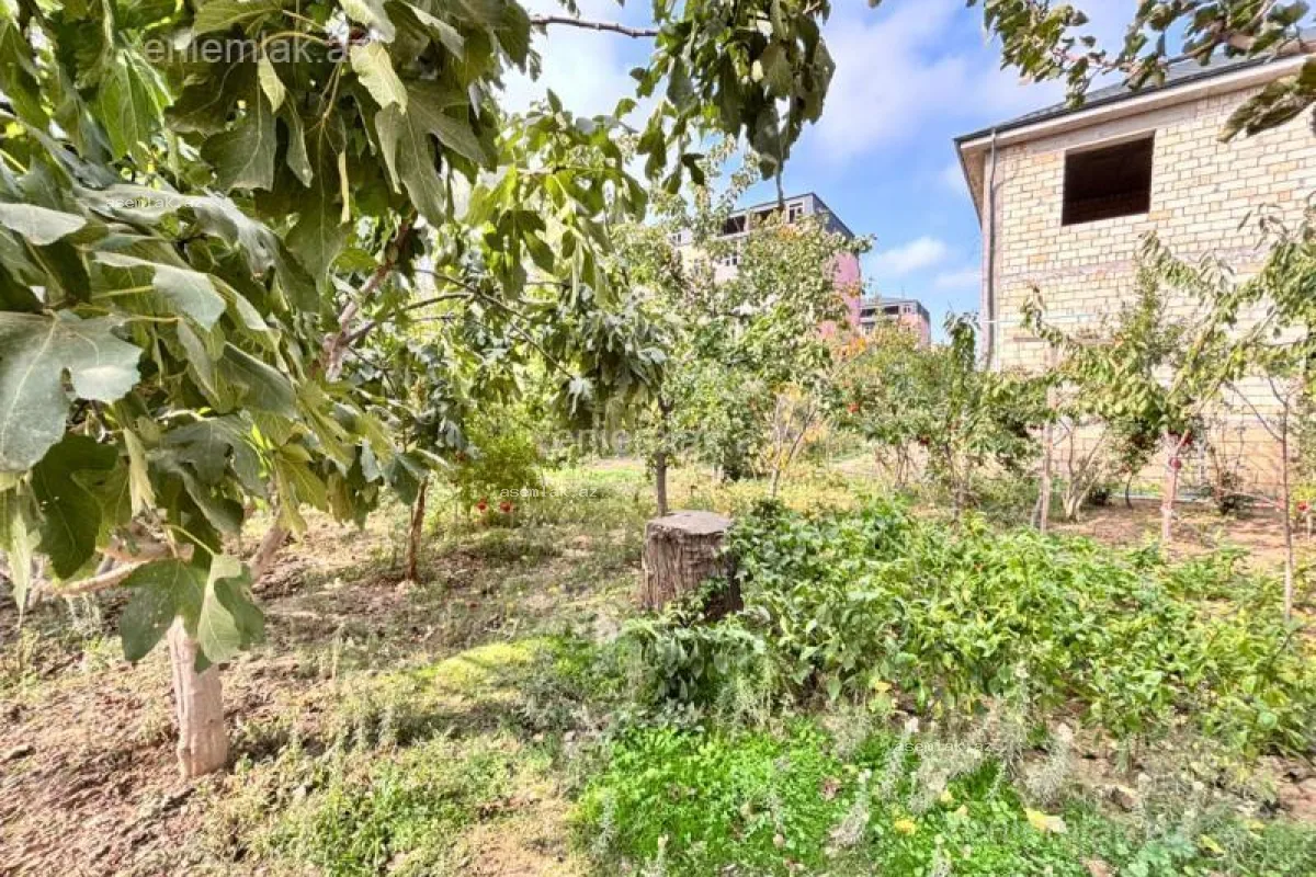 Bakı şəhəri, Mehdiabad — 11 sot həyət evi satılır - 19