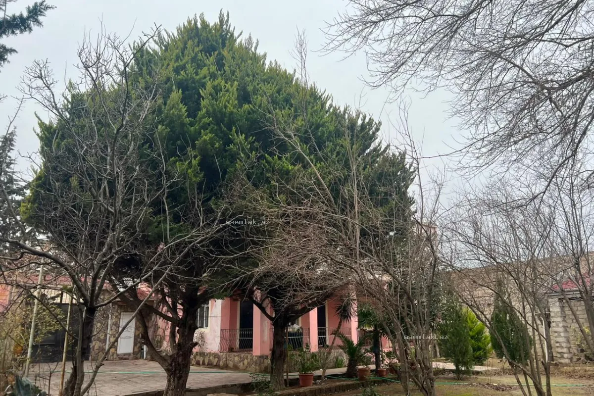 Bakı şəhəri, Şağan — 7.5 sot həyət evi satılır - 15