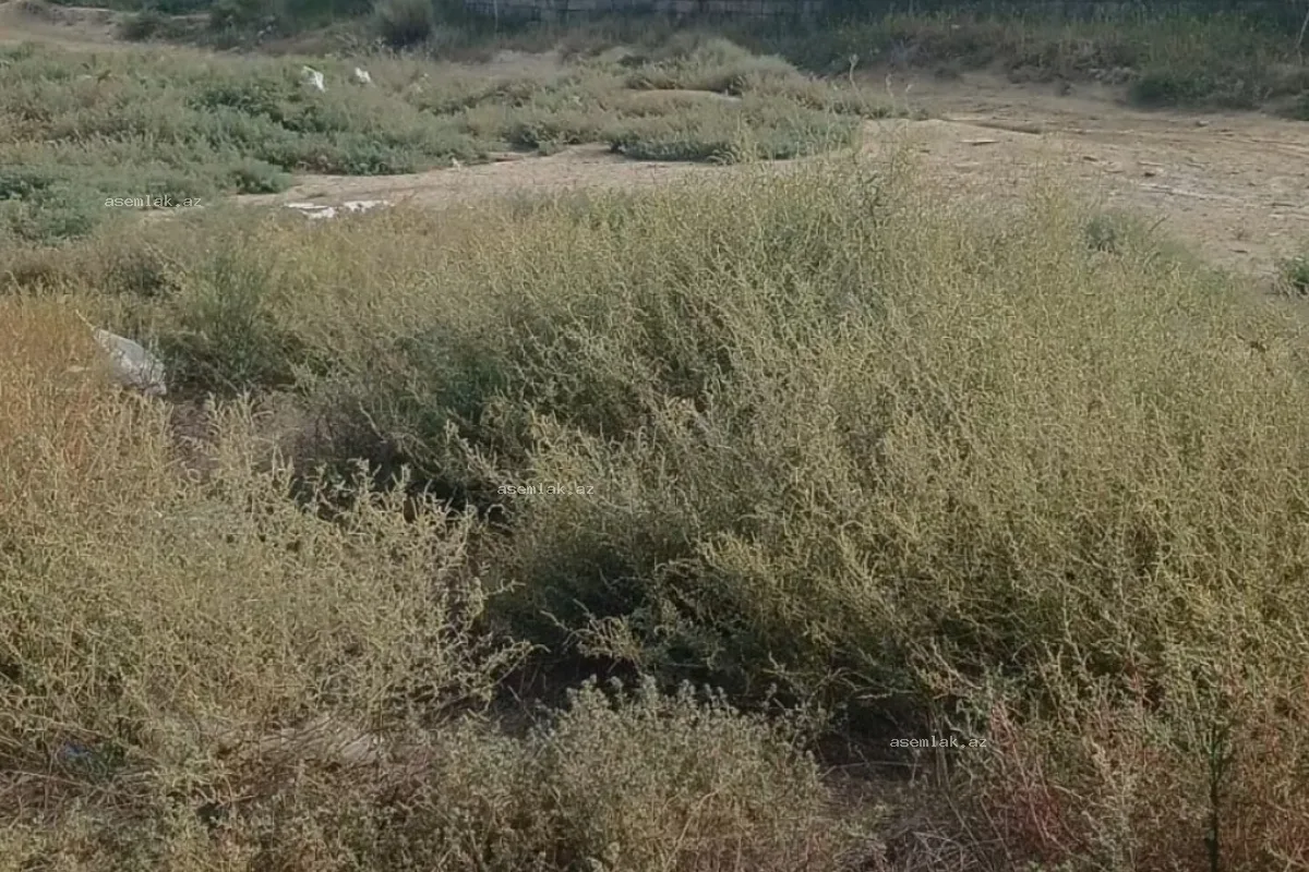 Bakı şəhəri, Kürdəxanı — 10 sot torpaq satılır