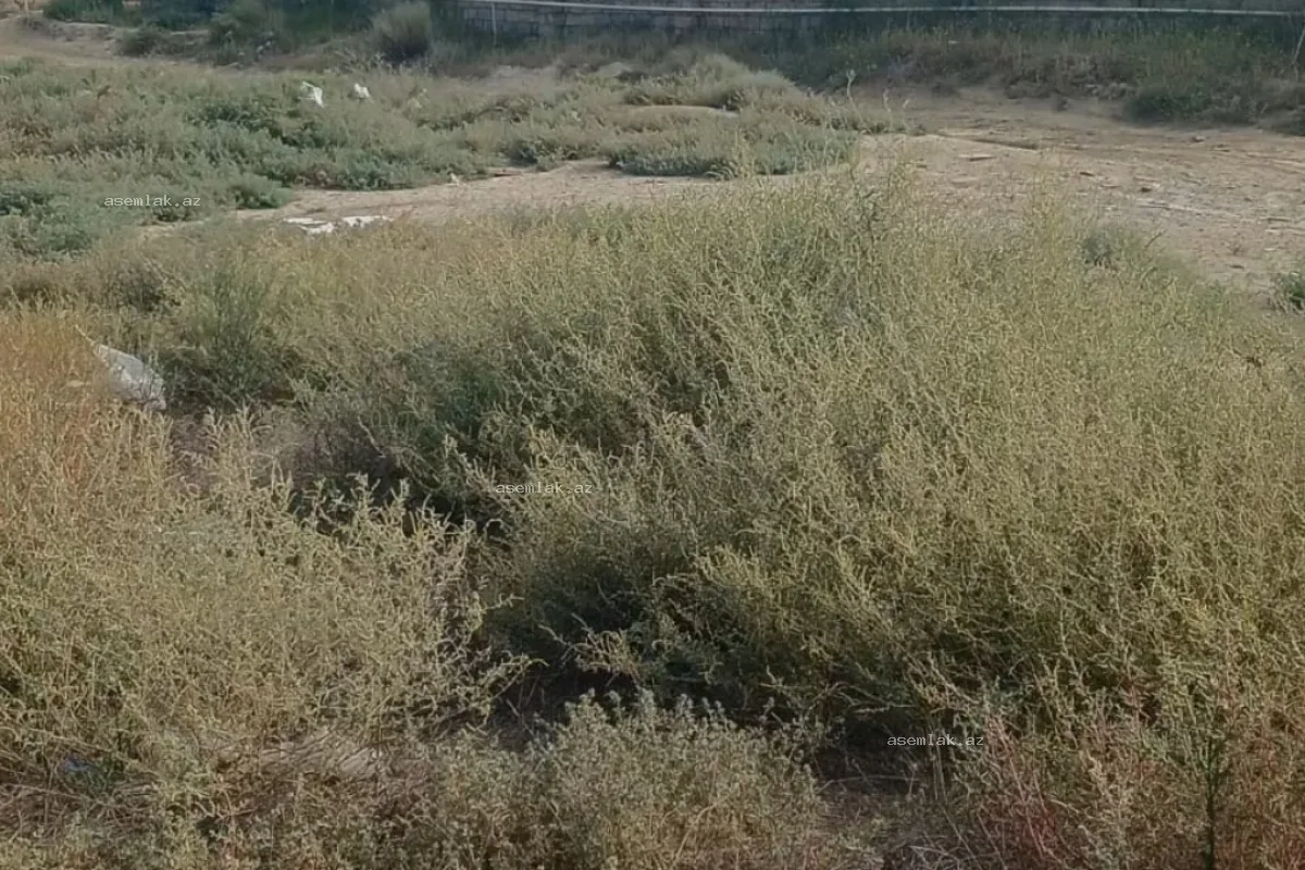 Bakı şəhəri, Kürdəxanı — 10 sot torpaq satılır - 3