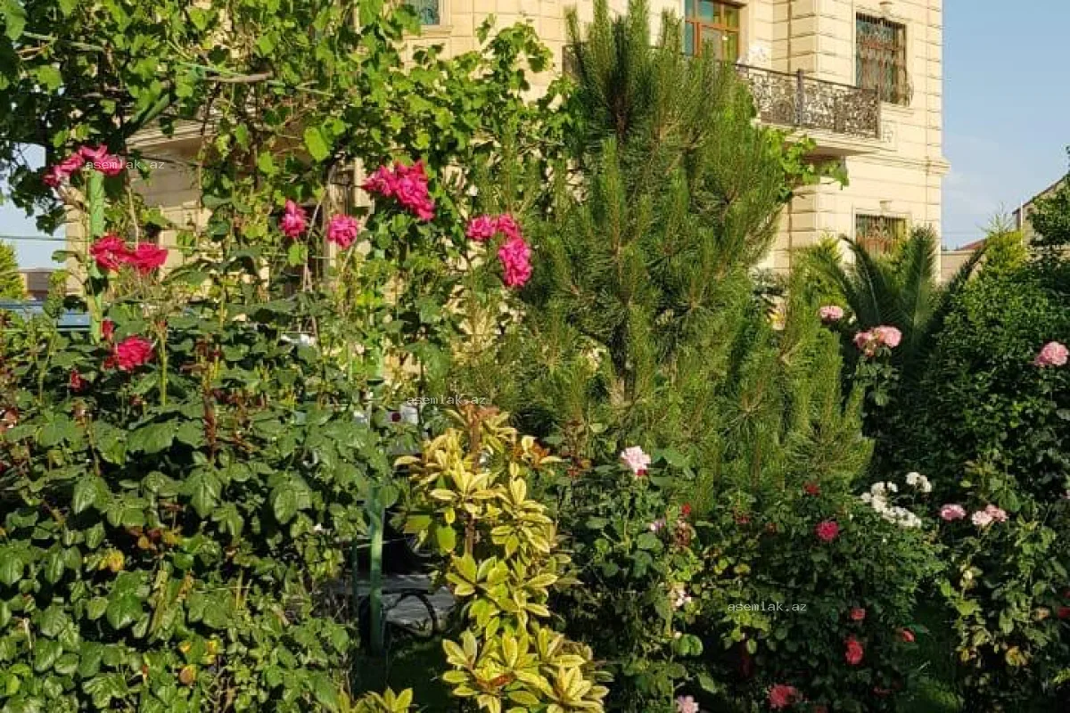 Bakı şəhəri, Mərdəkan — 16 sot həyət evi satılır - 4