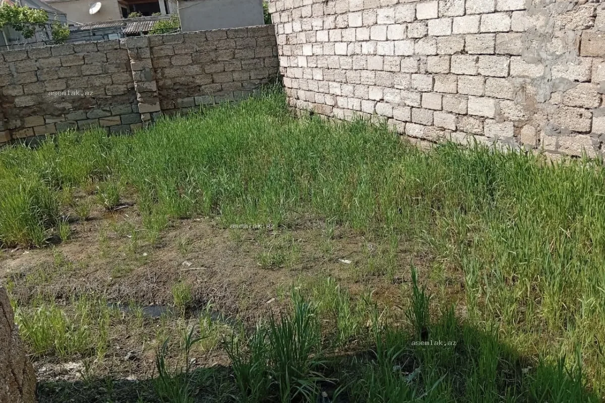Bakı şəhəri, Zabrat — 5 sot həyət evi satılır - 16