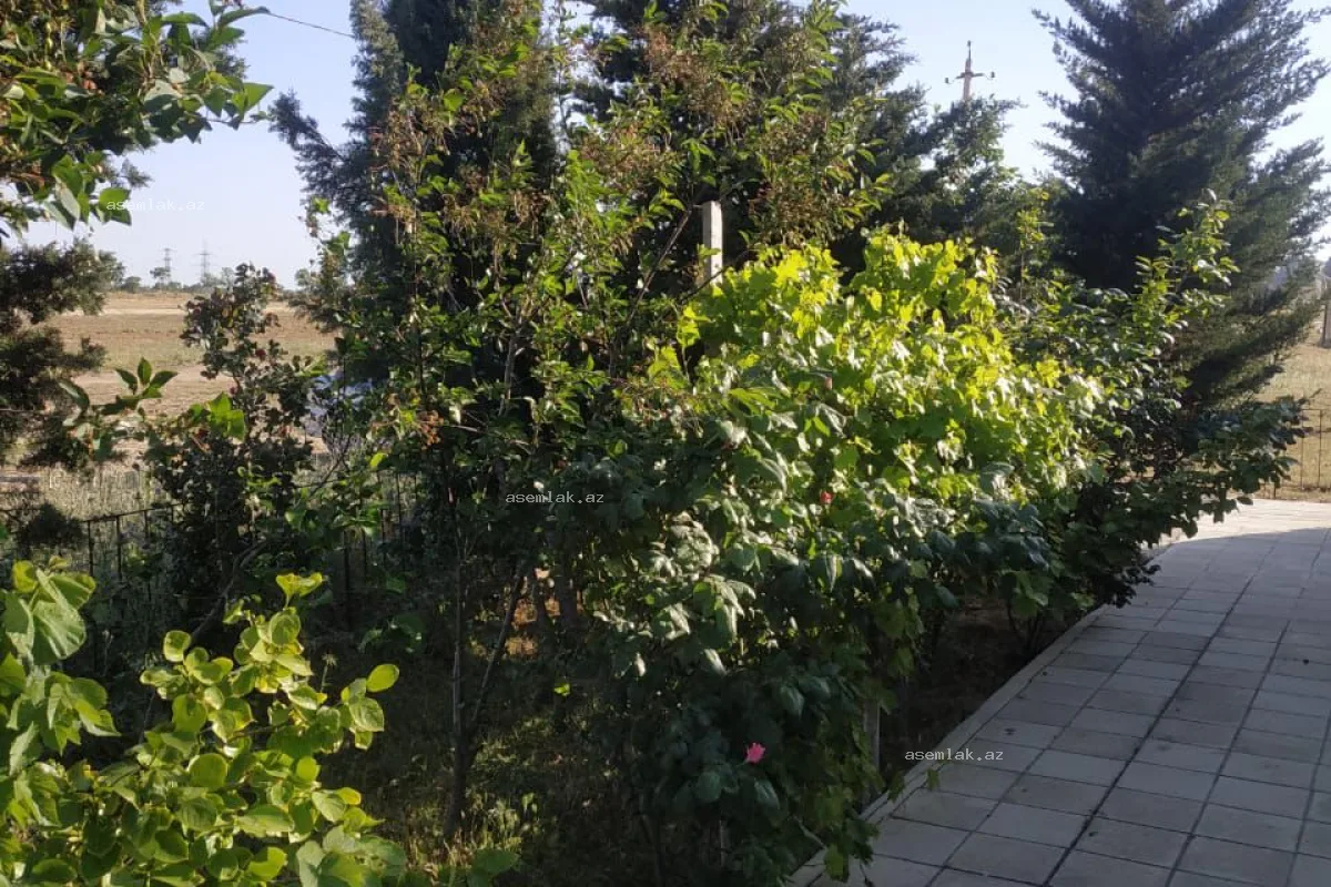 Bakı şəhəri, Məmmədli — 7 sot həyət evi satılır - 12