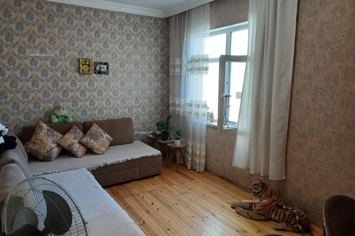 Bakı şəhəri, Masazır — 60 sot həyət evi satılır