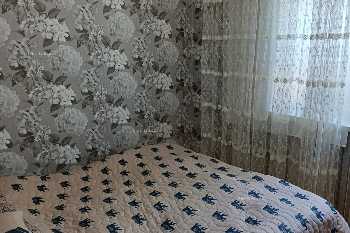 Bakı şəhəri, Masazır — 60 sot həyət evi satılır - 6